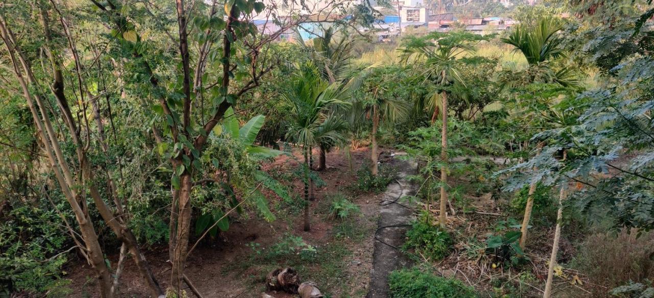 Gulmohar Cottages - Home Stay In Alībāg Eksteriør billede